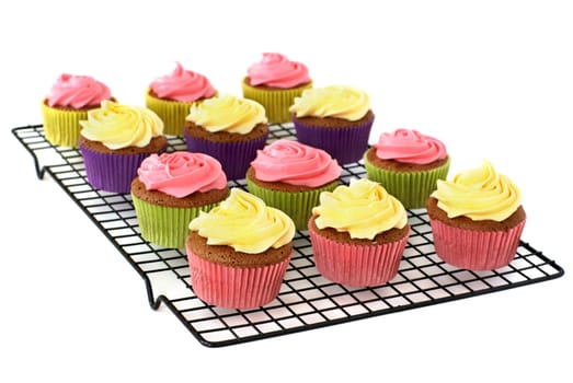 Cupcakes on a rack