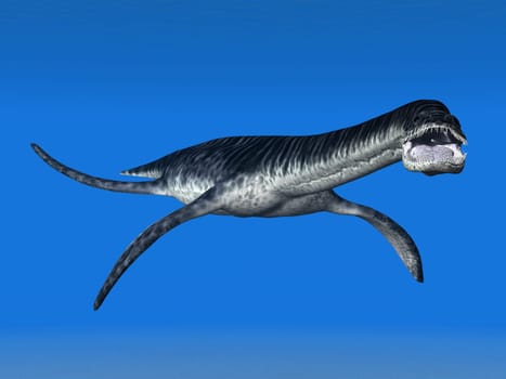 Plesiosaurus