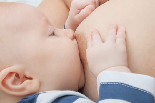Closeup of Mother Breast Feeding Her Baby