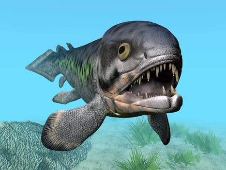 Rhizodus