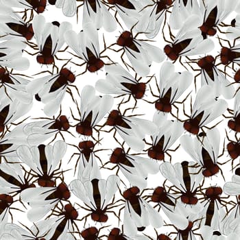 Seamless pattern with house fly.
