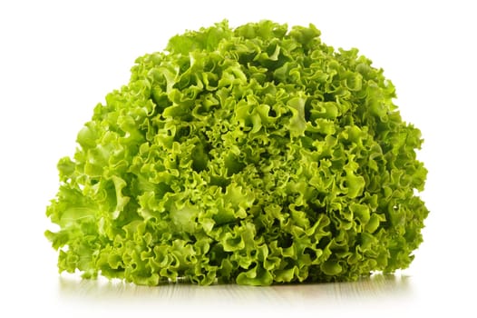 Green leaves lettuce isolated on white background