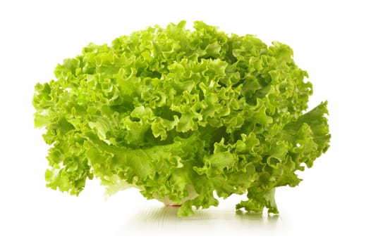 Green leaves lettuce isolated on white background