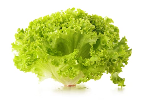 Green leaves lettuce isolated on white background