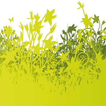 Flower meadow in spring