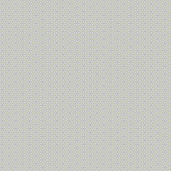 the vintage shabby background with classy patterns