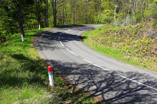 Country road in the Vosges,Alsace,France
