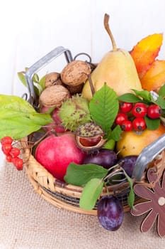 Autumn basket with fruit