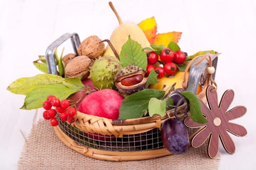 Autumn basket with fruit