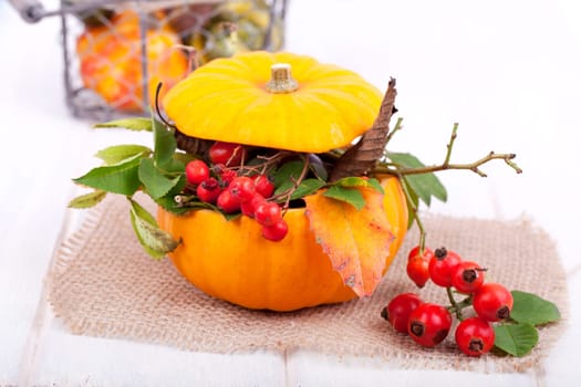Autumnal pumpkin