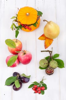 Autumn fruits