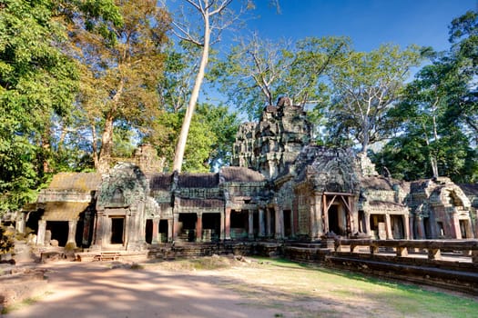 Jungle overtakes the ancient temple Ta Prohm near Siem Reap, Cambodia