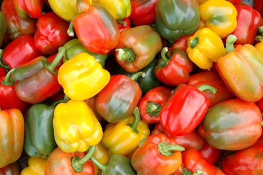 paprika