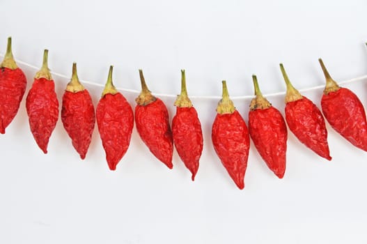 hot pepper