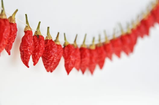 hot pepper