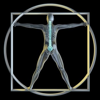 A 3d generated person posed like the famous Vitruvian Man (Symbol of health) rendered in a x-ray style highlighting the spine.