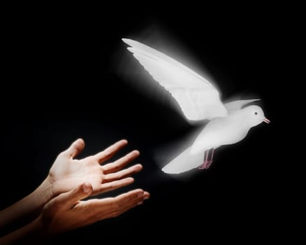 Two hands on a black background releasing a luminous dove into flight