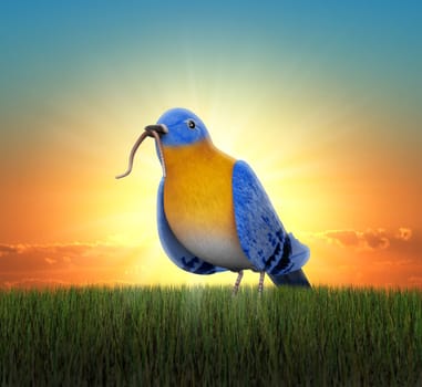 Bluebird standing in green grass, catching tha worm as the sun rises behind him