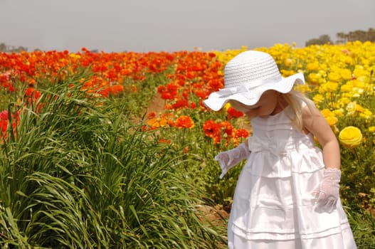 Young girl in a white dress exploring in a field of flowers