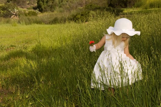 Girl in a white dress holding a flower in a field of grass