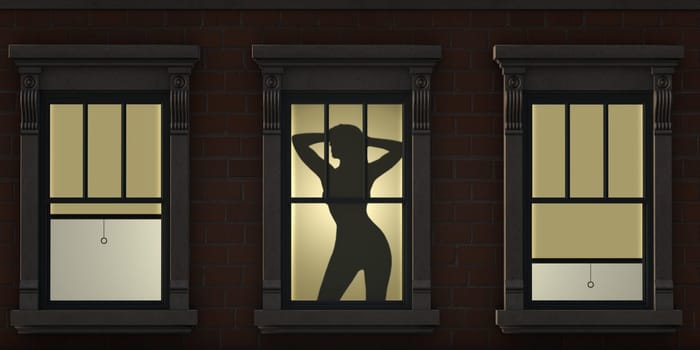 Silhouette of a sexy female in an urban window