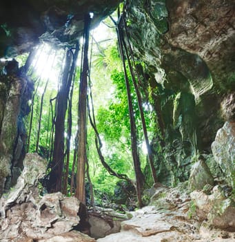 View from the Bat cave