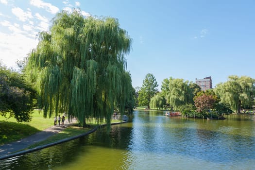 View of the Common park lake in Boston, Massachusetts -USA