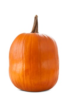 Pumpkin isolated on white background