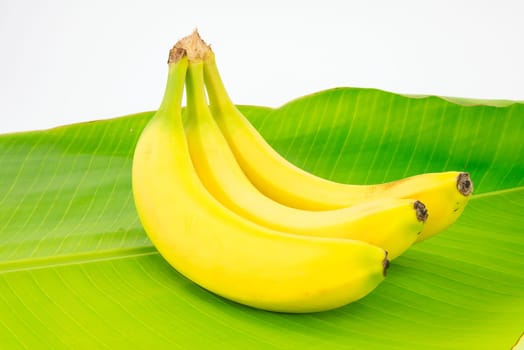 fruit