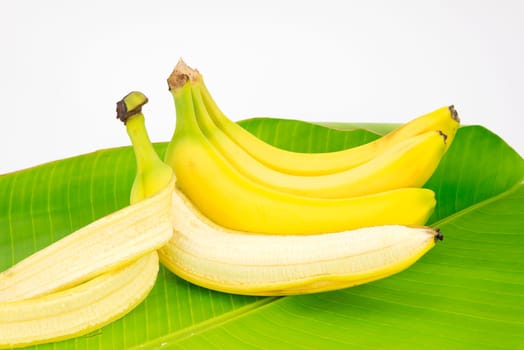 fruit