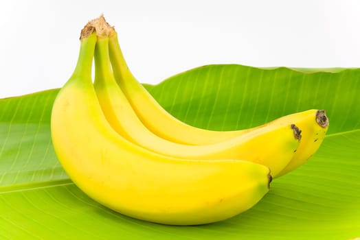 fruit