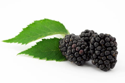 fruit