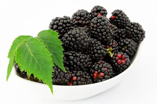 fruit