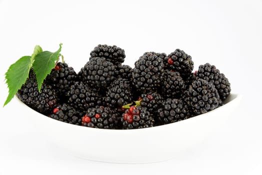fruit