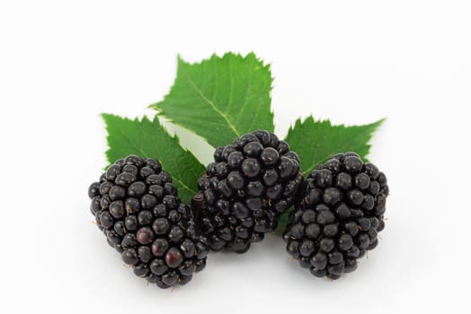 fruit