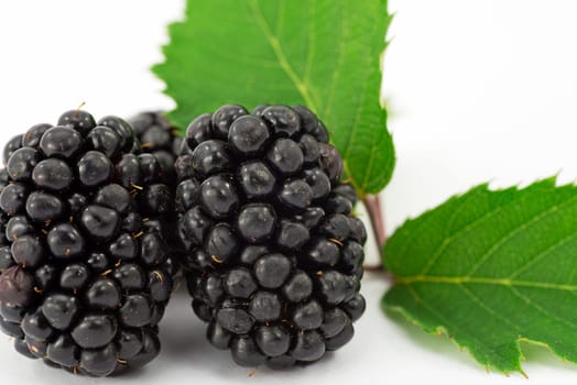 fruit