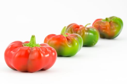 vegetables