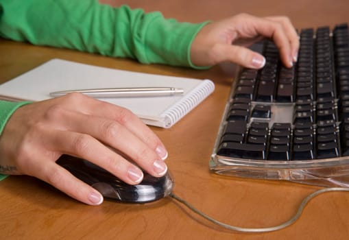 A beautiful set of hands work on the mouse and keyboard