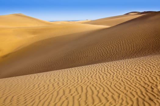 Desert sand dunes in Maspalomas Oasis Gran Canaria at Canary islands