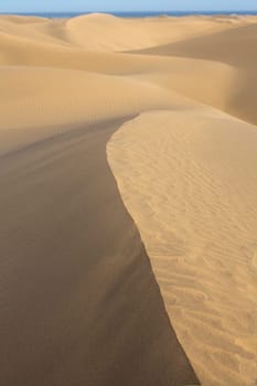 Desert sand dunes in Maspalomas Gran Canaria at Canary islands
