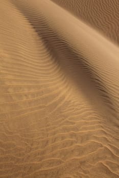 Desert sand dunes texture in Maspalomas Gran Canaria at Canary islands