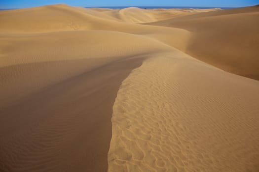 Desert sand dunes in Maspalomas Oasis Gran Canaria at Canary islands
