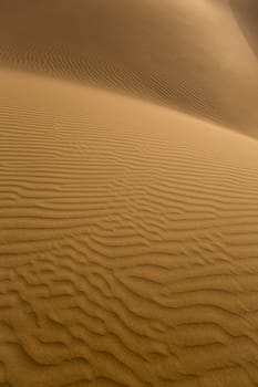 Desert sand dunes texture in Maspalomas Gran Canaria at Canary islands