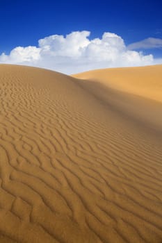 Desert sand dunes in Maspalomas Oasis Gran Canaria at Canary islands