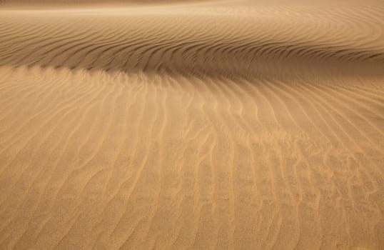 Desert sand dunes texture in Maspalomas Gran Canaria at Canary islands