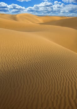 Desert sand dunes in Maspalomas Oasis Gran Canaria at Canary islands