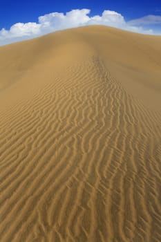 Desert sand dunes in Maspalomas Oasis Gran Canaria at Canary islands