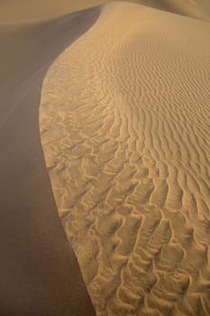 Desert sand dunes in Maspalomas Gran Canaria at Canary islands