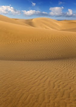 Desert sand dunes in Maspalomas Oasis Gran Canaria at Canary islands