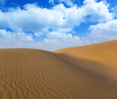 Desert sand dunes in Maspalomas Oasis Gran Canaria at Canary islands